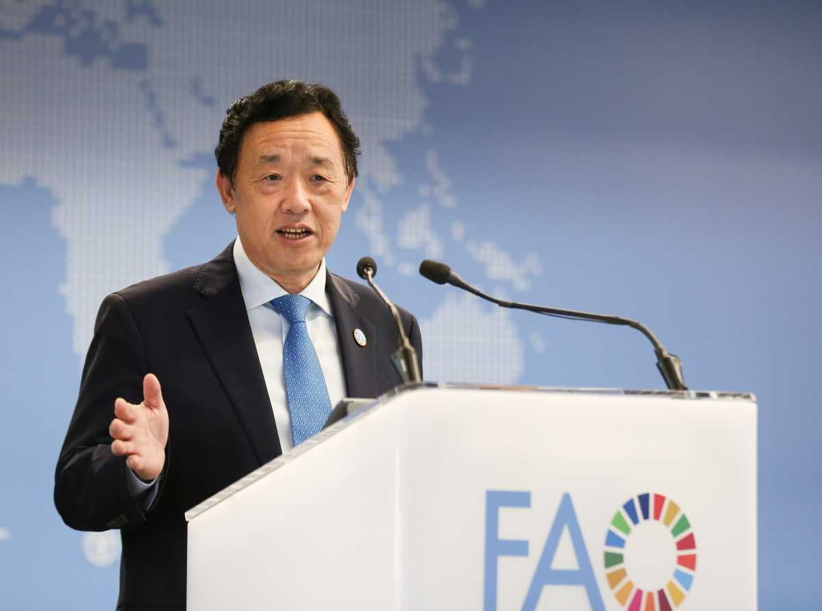 FAO calls for stronger implementation of global food safety standards